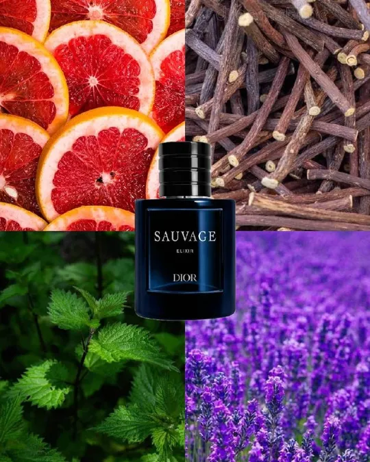 Dior Sauvage Elixir EXTRAIT DE PARFUM, фото 1