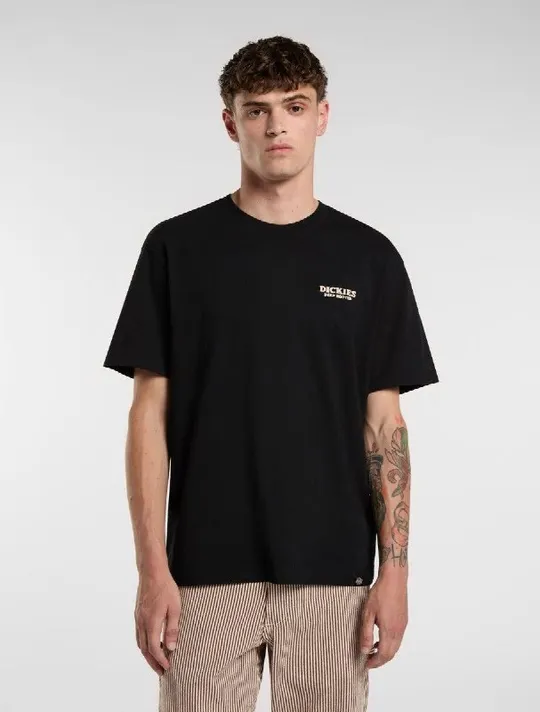 Футболка Dickies, фото 1