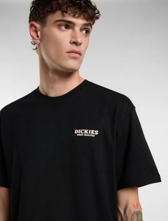 Футболка Dickies, фото 3