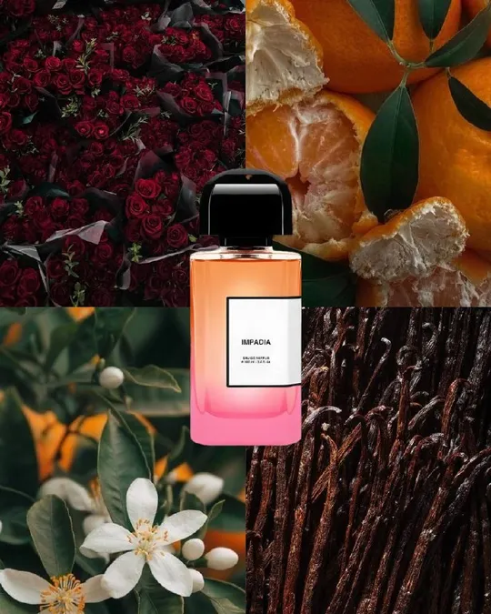 BDK Parfums Impadia EDP, фото 2
