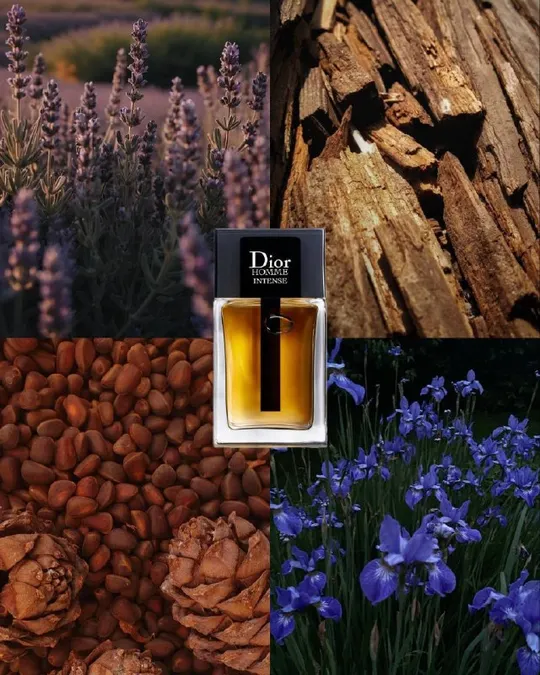 Dior Homme Intense EDP, фото 1